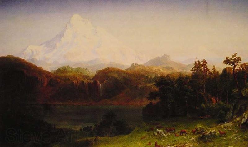 Albert Bierstadt Mount Hood, Oregon Spain oil painting art